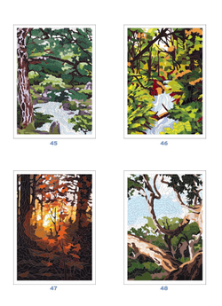 Hachette/ раскраска по номерам/ Coloriages mystères - Forêts du monde