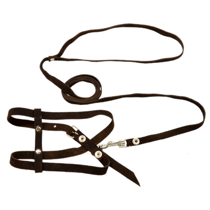 ZOONIK Шлейка + поводок для кошек, спилок велюровый 10/12 мм, черная