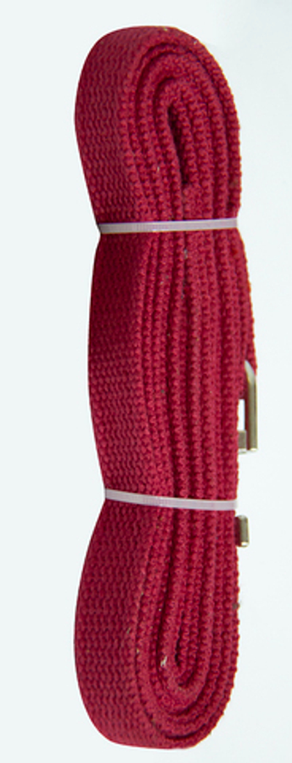 ZOONIK Поводок брезентовый 20 мм, длина 3 метра, красный