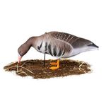 Комплект чучел Белолобый (10шт) S-XPE B622-3D "North Way"