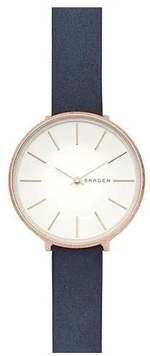 Женские наручные часы Skagen SKW2723