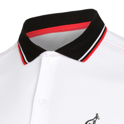 Мужское теннисное поло Australian Serve In Ace Polo Men - White, Multicoloured