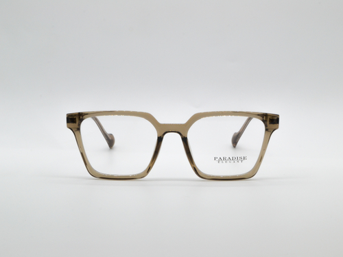 Изг. оправы PARADISE 41046 C2