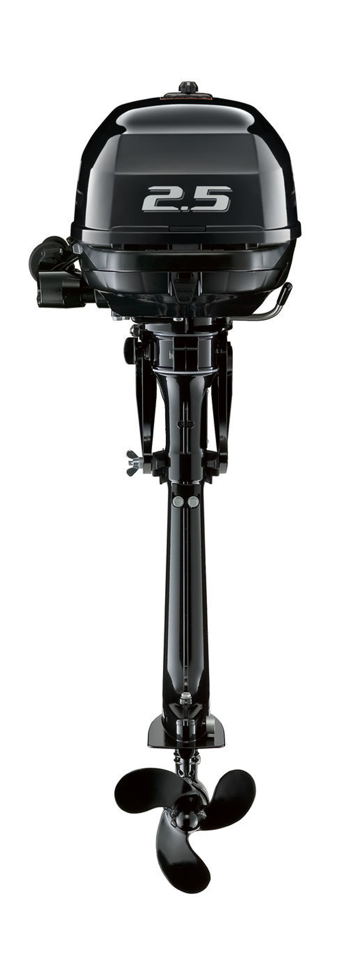 Лодочный мотор Suzuki DF2.5S