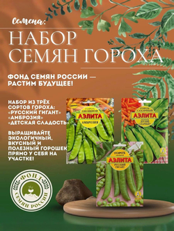 Горох Овощной, Все фиолетово, семена, 10 гр.