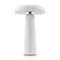 Аккумуляторный светильник Freya FR6109TL-L4W
