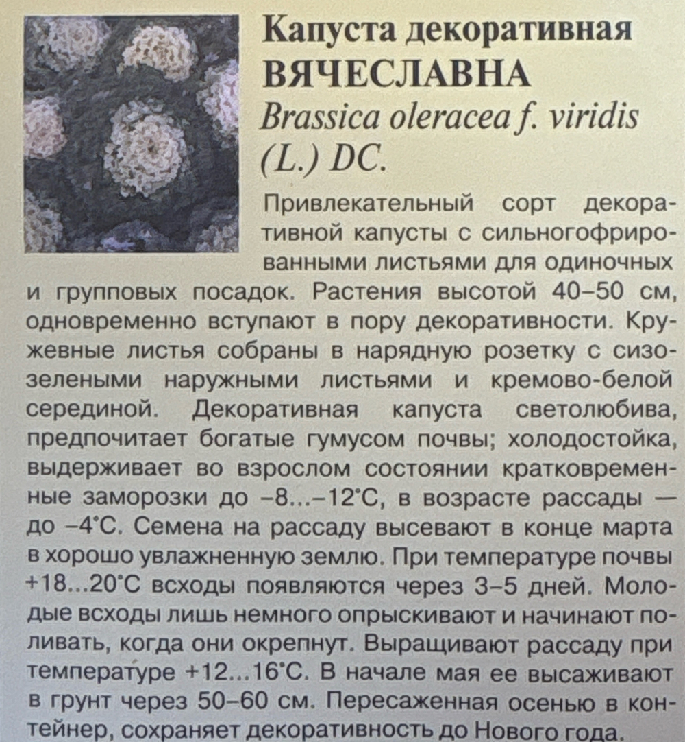 Капуста дек. Вячеславна 0,05 г СМК-63