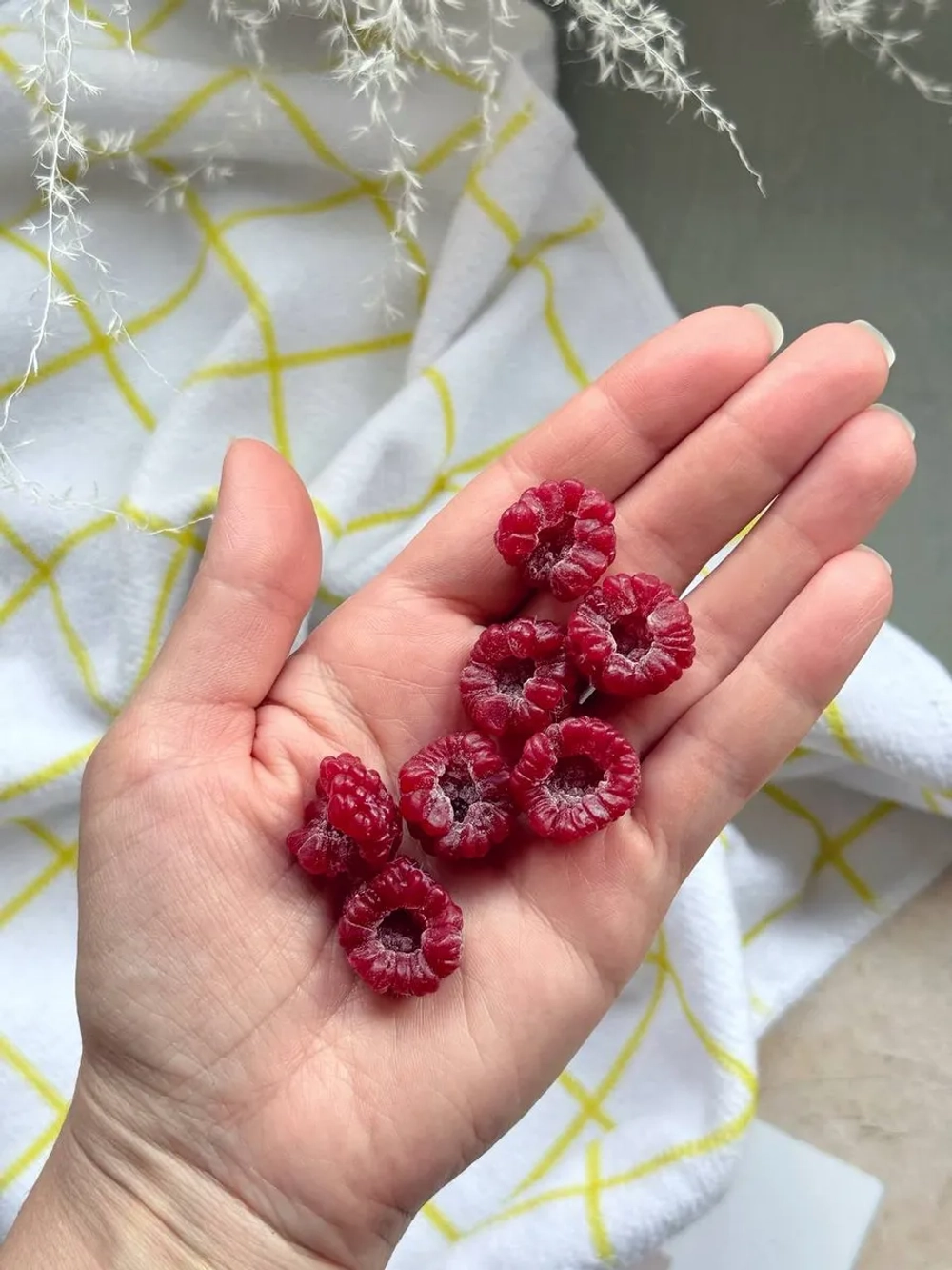 Силиконовая форма малинка-половинка