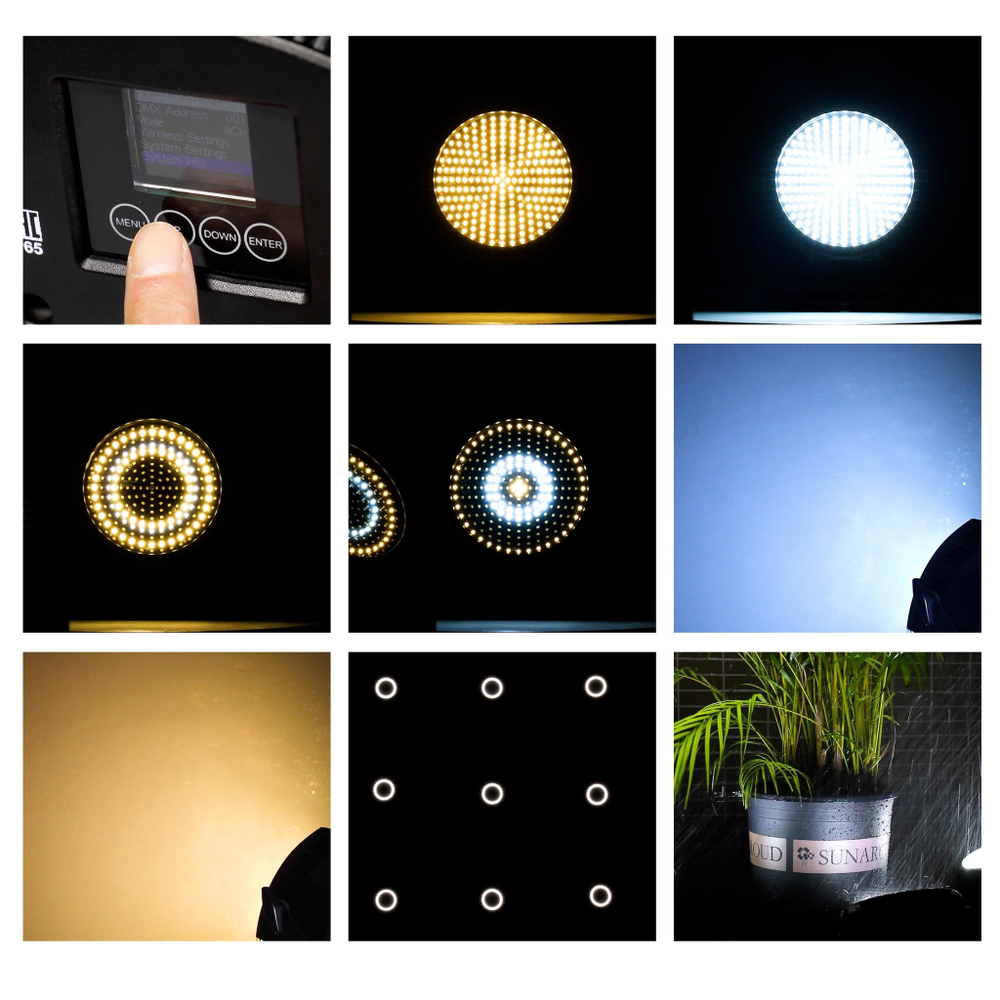 SMARTPAR 2202P IP2202