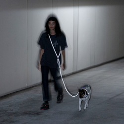 Поводок handsfree NOX Zee.Dog