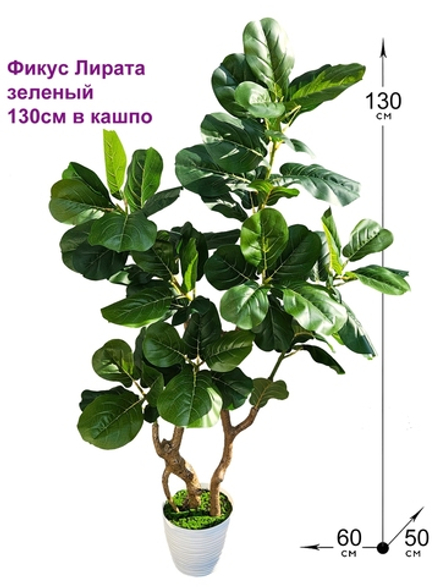 Искусственное растение Лирата зеленый 130см в кашпо