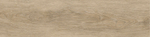 Керамогранит Baltic_GT Бежевый 19,8x80 GT208021202MСR