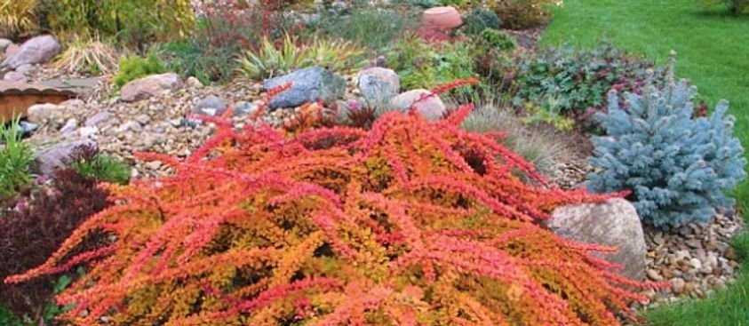 Заголовок для слайда 2