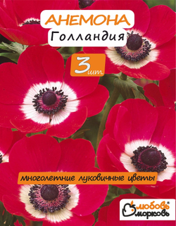 Анемона луковицы, Голландия 3 шт