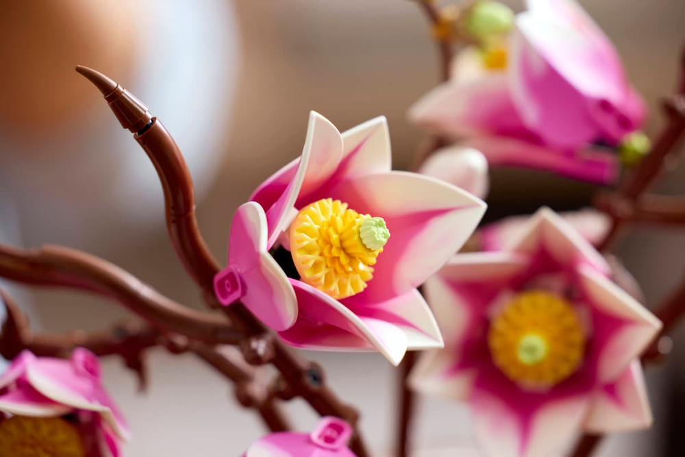 Конструктор LEGO The Botanical Collection 11510 Magnolia Branches