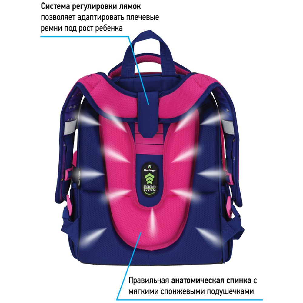 Ранец Berlingo Expert Akita boy 37х28х16см, 2 отд., с анатомической спинкой