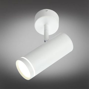 Светильник настенно-потолочный OML-102219-12