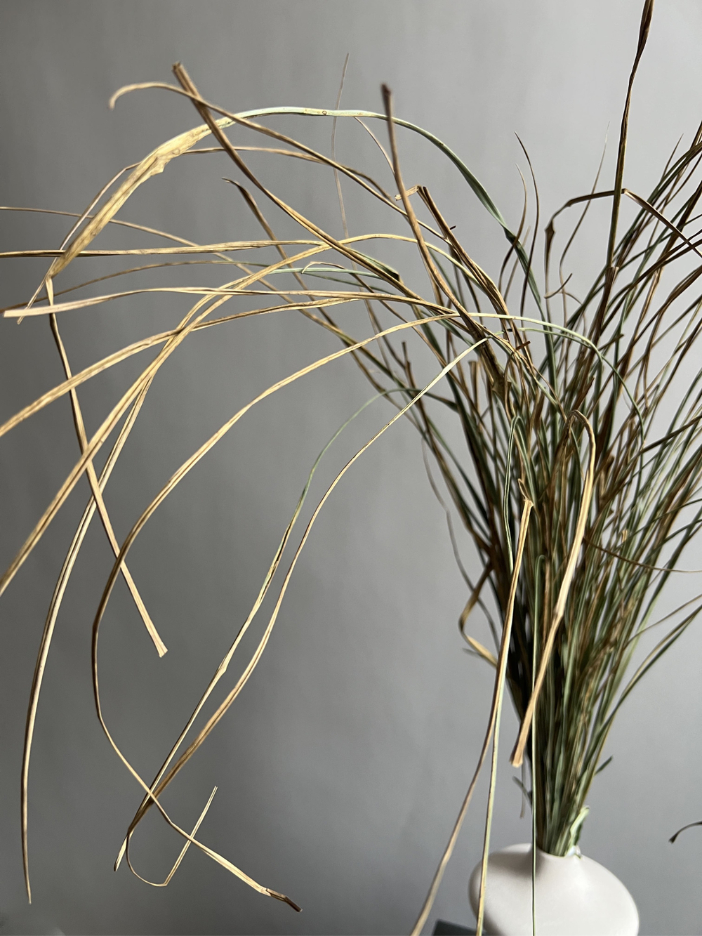 Грасс большой пучок