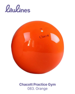 Мяч PRACTICE GYM BALL CHACOTT