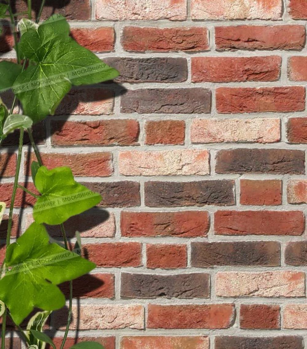 Roben, Dykbrand, облицовочная клинкерная плитка ручной формовки, фламандский пестрый, NF