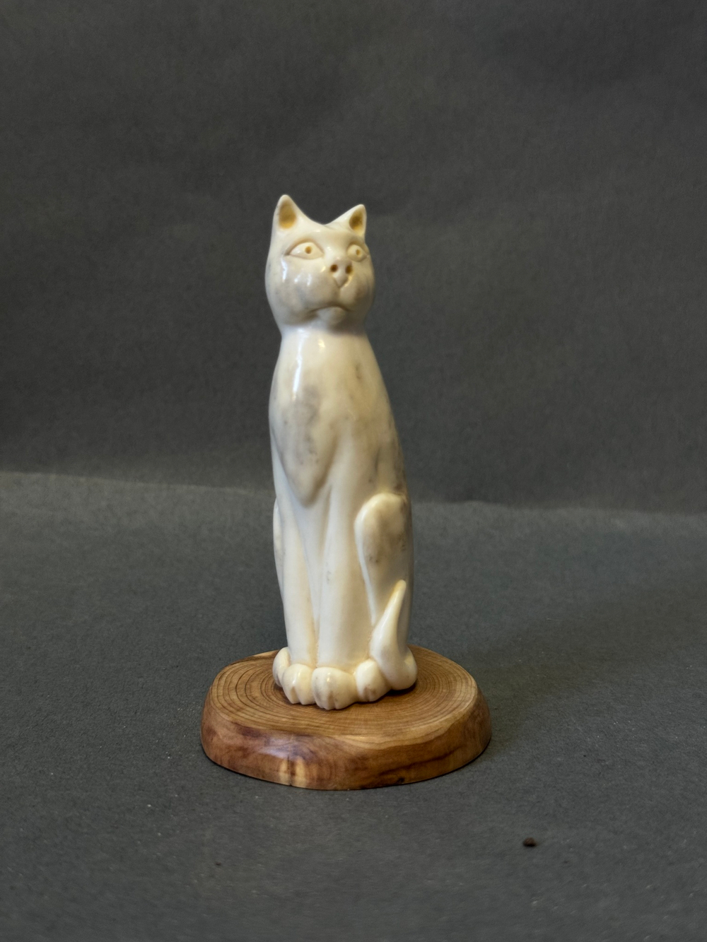 Кот