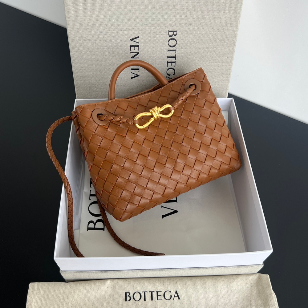Bottega Veneta Small Andiamo 25 cm