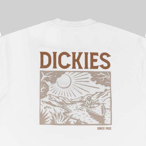 Футболка мужская Dickies Patrick Springs Tee артикул:DK0A4YR7WHX1 - купить в магазине Дайс