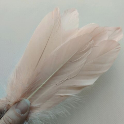 Гусиные перья нюд 2 сорт 20 шт.