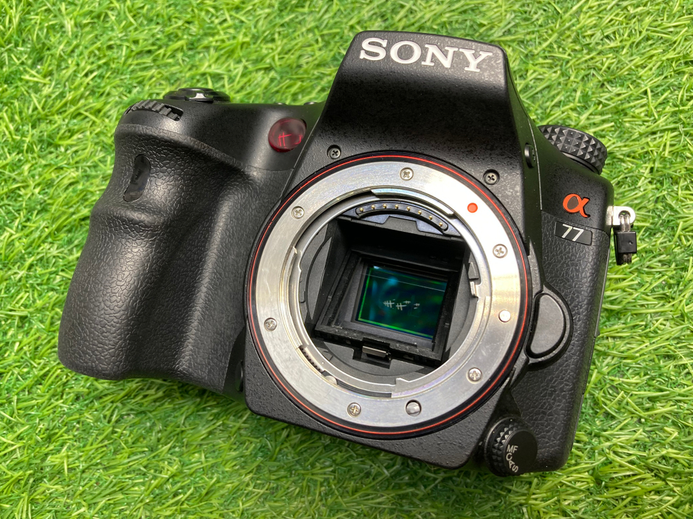 Sony A77 24.000 кадров