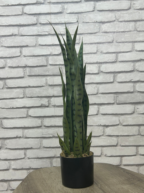 Растение искусственное Сансевиерия Зейланика 161-004 70см