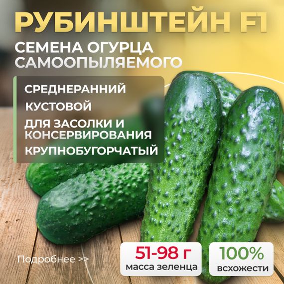 РУБИНШТЕЙН_F1_семена_огурца_партенокарпического_Rijk_Zwaan_семена_оптом