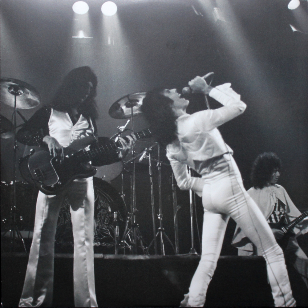 Queen / A Night At The Odeon (2LP)