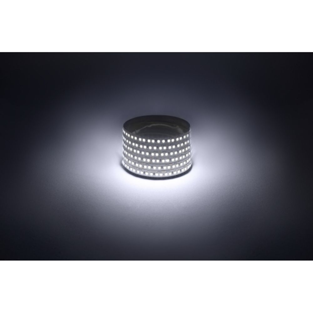 Светодиодная лента ЭРА LS2835-14,4-180-12-6500K-IP20-1 year-5m холодный белый 1 год