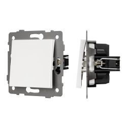 Механизм выключателя одноклавишный самовозвратный SWT-MKR1-PL-WH-V (250V, 10A) (Arlight, -) 049879