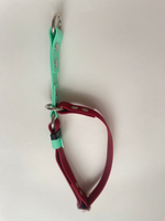 Yki too Ощейник удавка из биотана 25 мм , 35-45 см. винный и мята