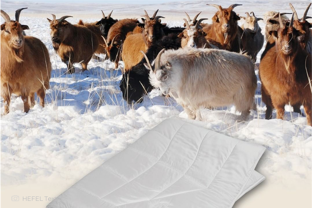 Одеяло всесезонное 200х220 Hefel Pure Wool