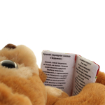 Мишка сказочник интерак. 29см. Михалков С. стихи, 5 сказок HTL2436 (Мульти-пульти)