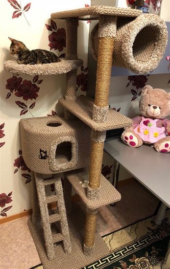 Дом для кота С-12