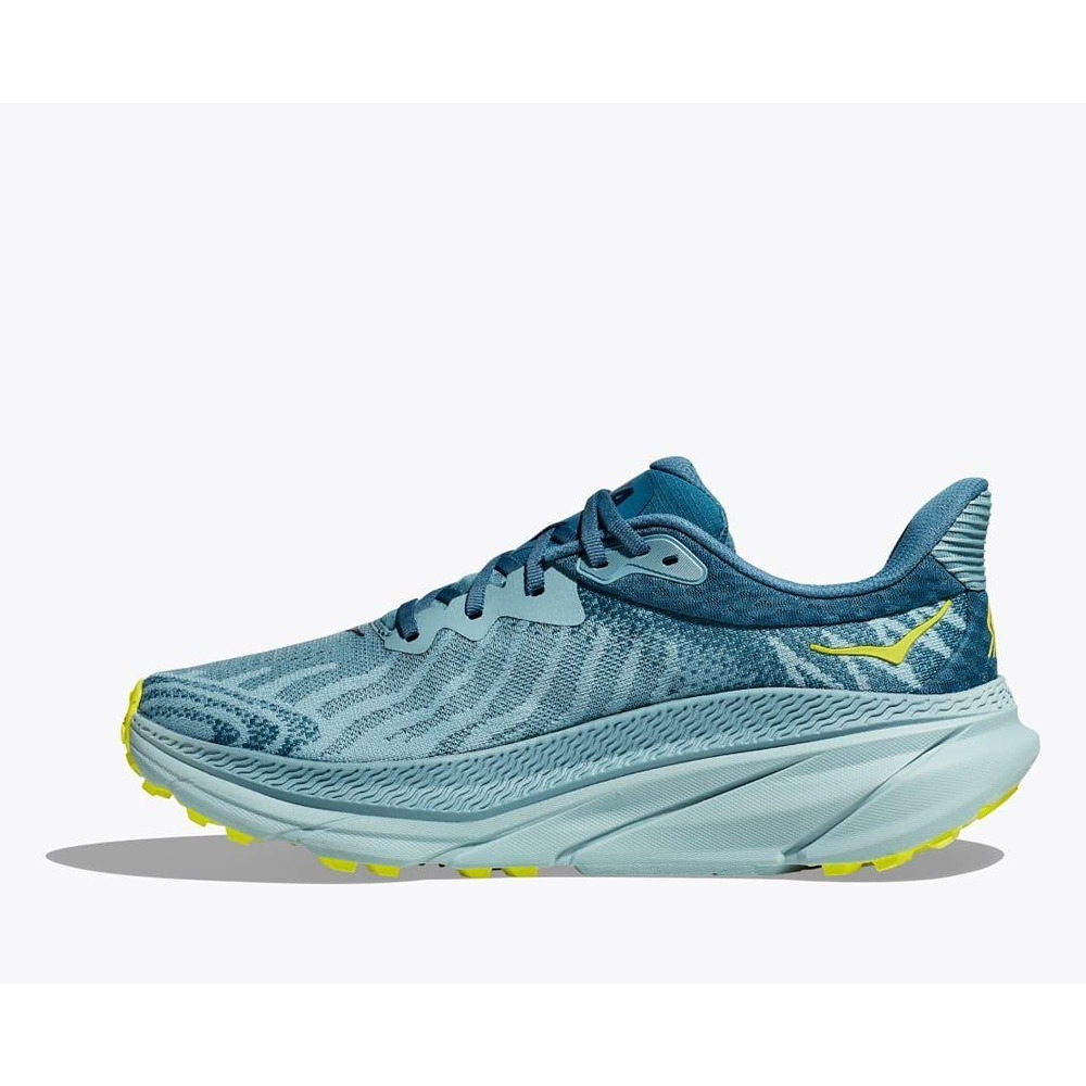 Кроссовки мужские HOKA M CHALLENGER ATR 7  Wide Stone Blue / Evening Primrose