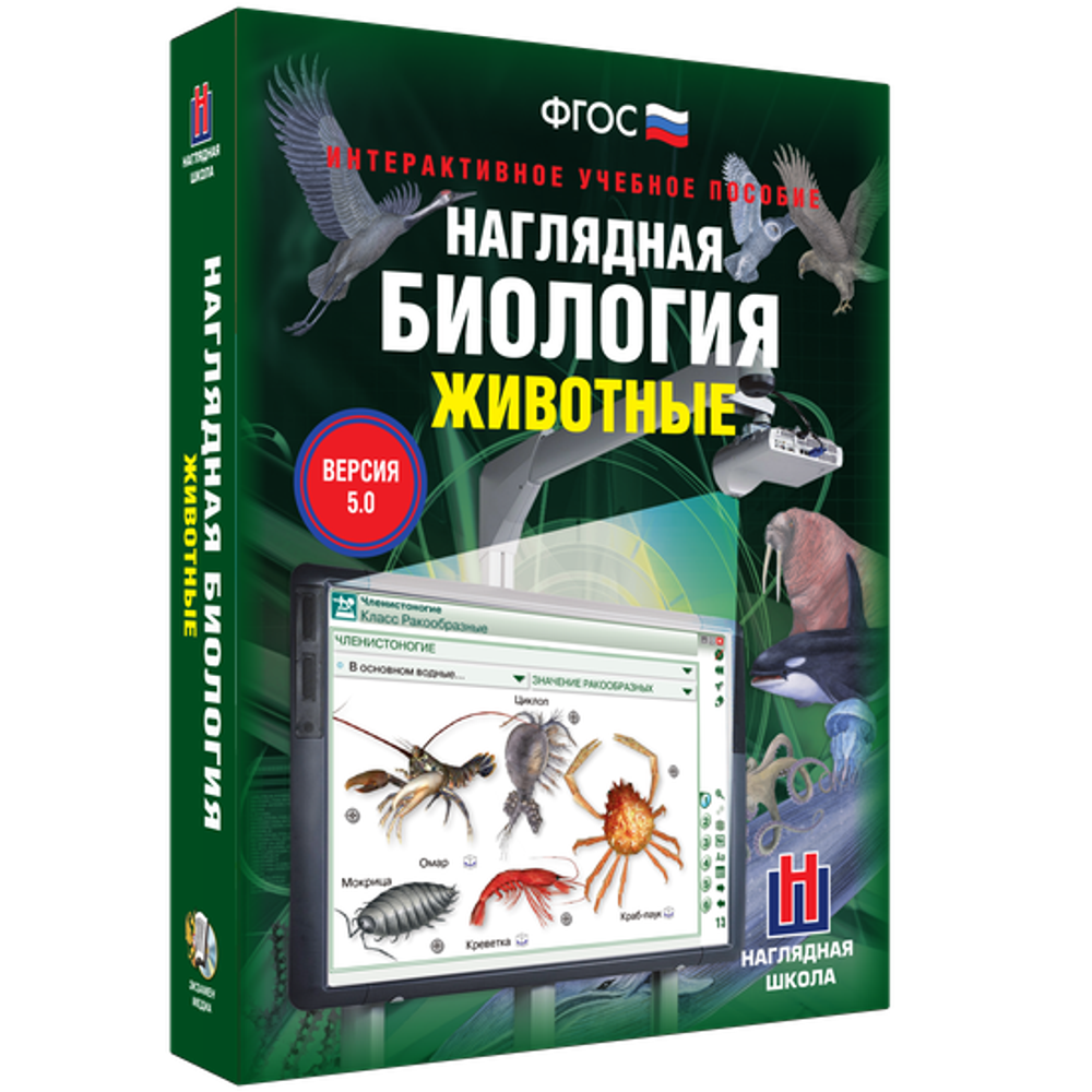 Наглядная биология. 7 класс. Животные