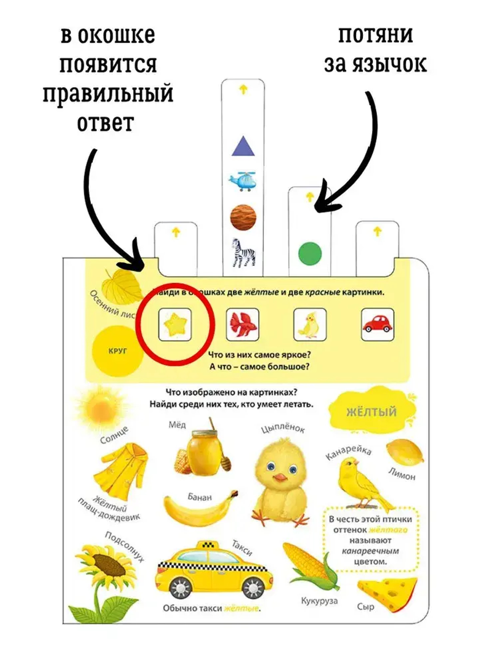 Книга - тренажер