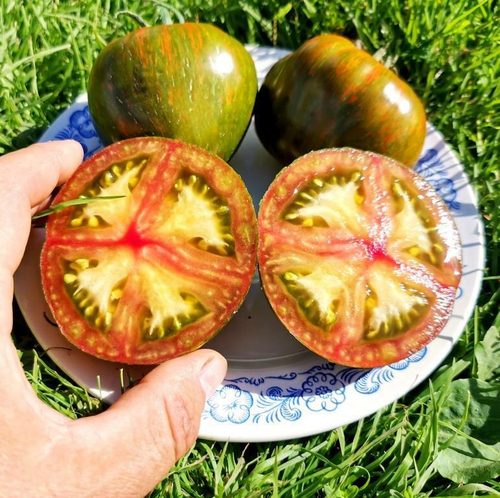 Помидоры Мистерия - Mystery Tomato