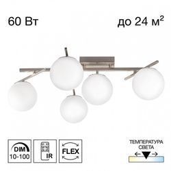 Потолочная люстра Citilux Dorsy CL223151