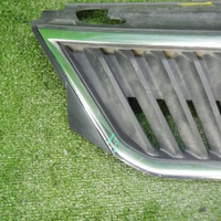 Решетка радиатора Skoda Rapid (2012-2020)