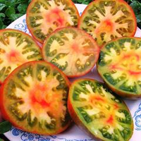 Помидоры Гном Медная Голова - Dwarf Copperhead Tomato