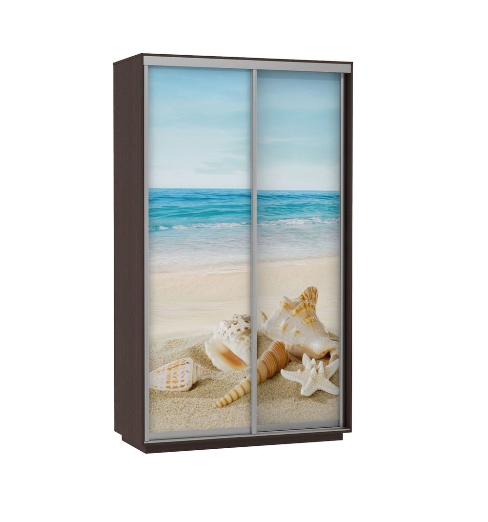 Шкаф-купе "Экспресс Фото Дуо" (венге/море) 2400х1200, МК Е1, г. Белореченск