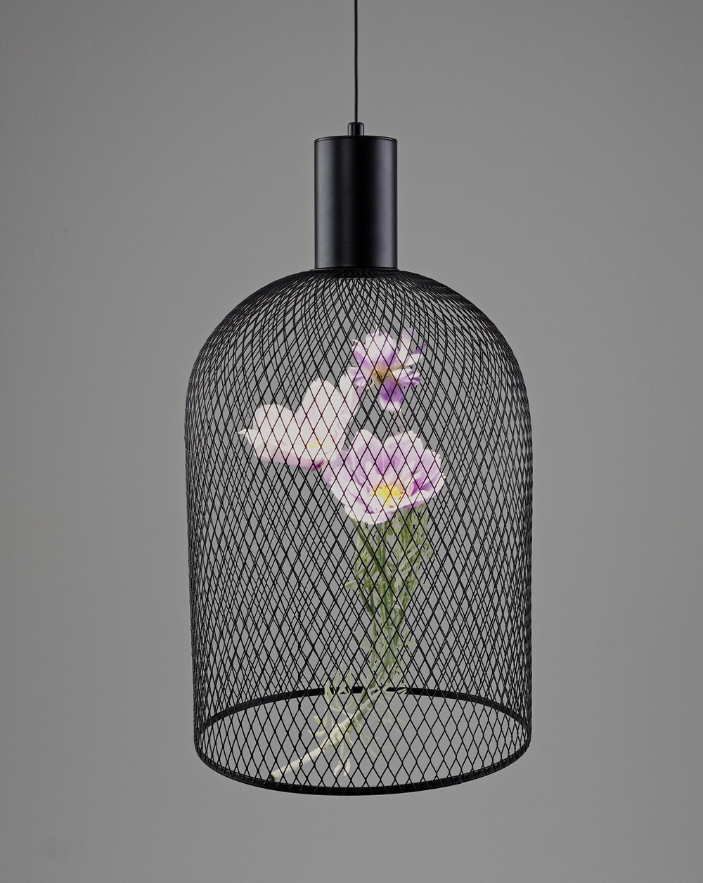 Светильник подвесной светодиодный Moderli V11875-PL Ophelia