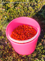 Путешествие на реку Тавайваам