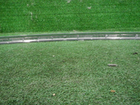 DSCN3800.JPG