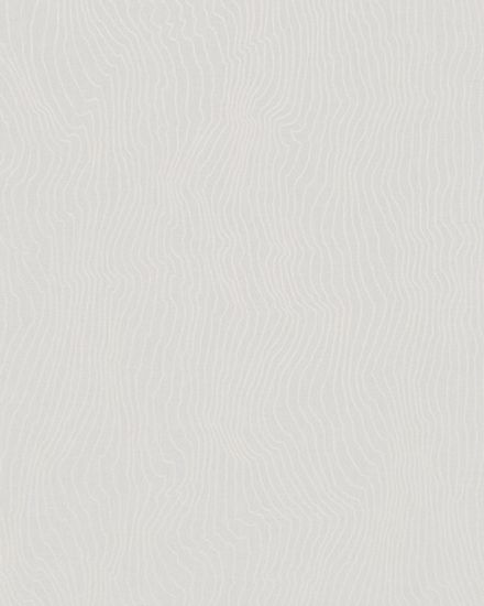 New Spirit / Project